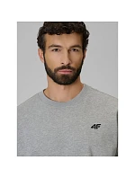 Pánská mikina z fleece, regular střih, bez kapuce, 4F 4FRMM00TSWSM3059-27M