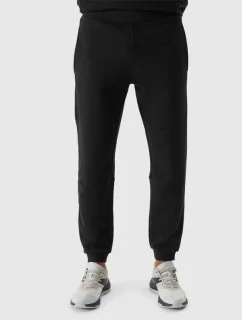 Kalhoty 4F M 4FWSS24TTROM645 20S