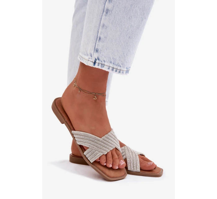 Dámské ploché stříbrné s kamínky model 21997971 - Boto Dámské ploché stříbrné s kamínky model 21997971 - Boto