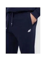 Pánské tepláky typu jogger 4F 4FRMM00TTROM1624-31S Pánské tepláky typu jogger 4F 4FRMM00TTROM1624-31S