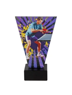 Triumph model 21363632 - Tryumf