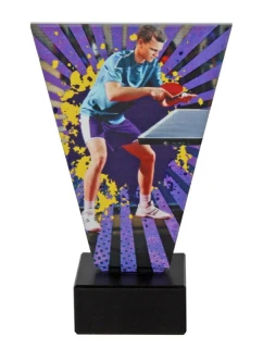 Triumph model 21363632 - Tryumf