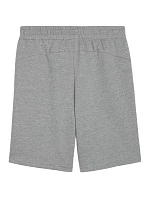 Puma pánské teamGOAL Casuals šedé 658608 33