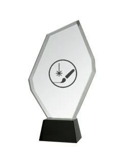 Gravírovaná skleněná trofej s pouzdrem + malířská výplň