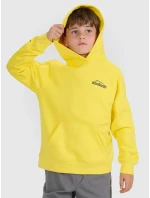 Chlapecká mikina 4F