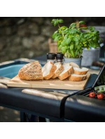 model 21810055 model 21810055