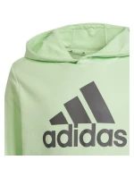 Mikina adidas Big Logo Hoodie Jr IS2591 Mikina adidas Big Logo Hoodie Jr IS2591