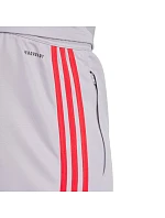 Kalhoty adidas Squadra 25 Training M JP3372