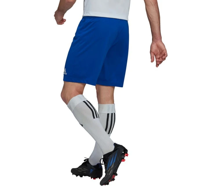 Entrada 22 M pruhované šortky HG6294 - Adidas