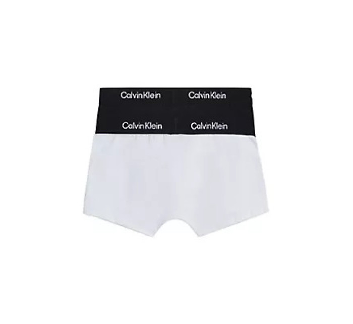 Chlapecké spodní prádlo 2PK TRUNK B70B7004670WS - Calvin Klein