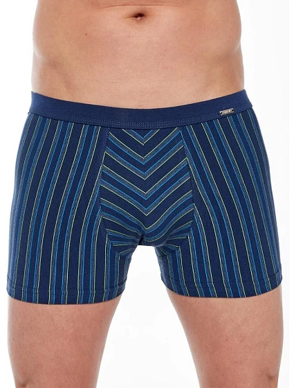 Boxerky Various model 21735020 Mini M2XL - Cornette