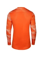 Pánská brankářská mikina Dry Park IV M CJ6066-819 - Nike Pánská brankářská mikina Dry Park IV M CJ6066-819 - Nike