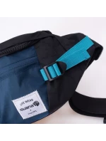 model 21356426 - Iguana