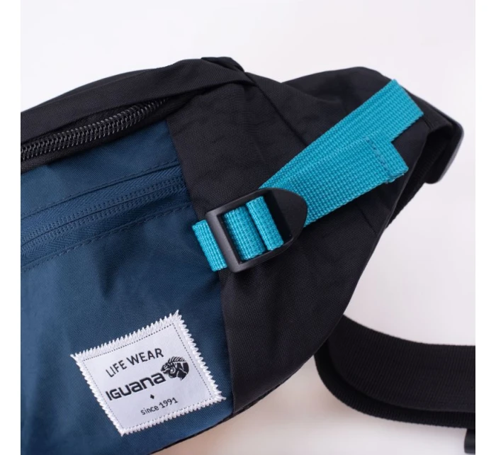 model 21356426 - Iguana