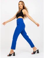 Kalhoty BR SP 219.71 kobalt