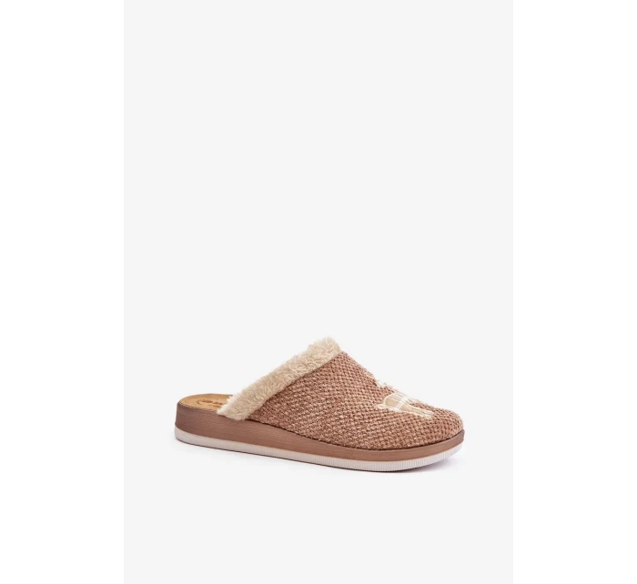 Dámské Pantofle S Sobem A Kožíškem Inblu CT000034 Béžové