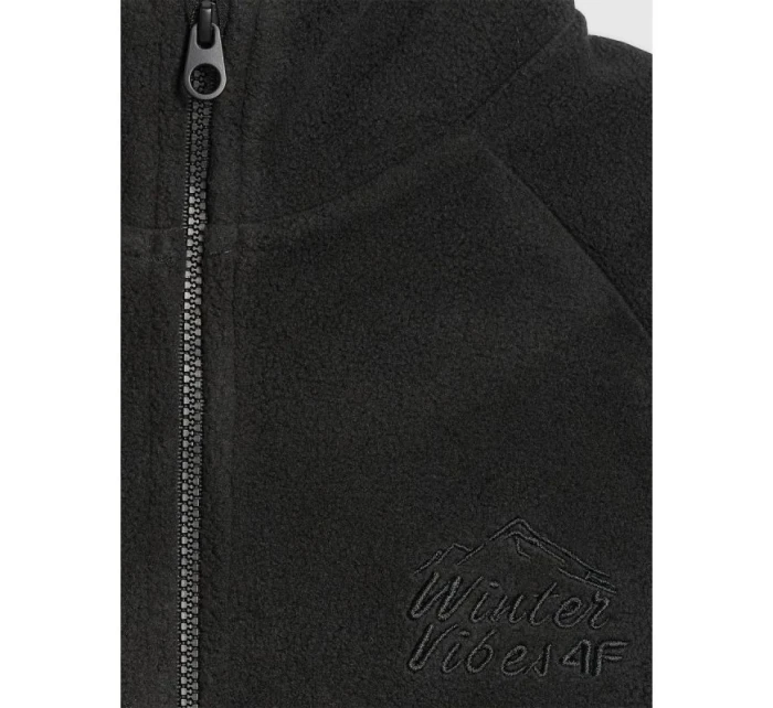 Chlapecký fleece se stojáčkem model 21917517 - 4F