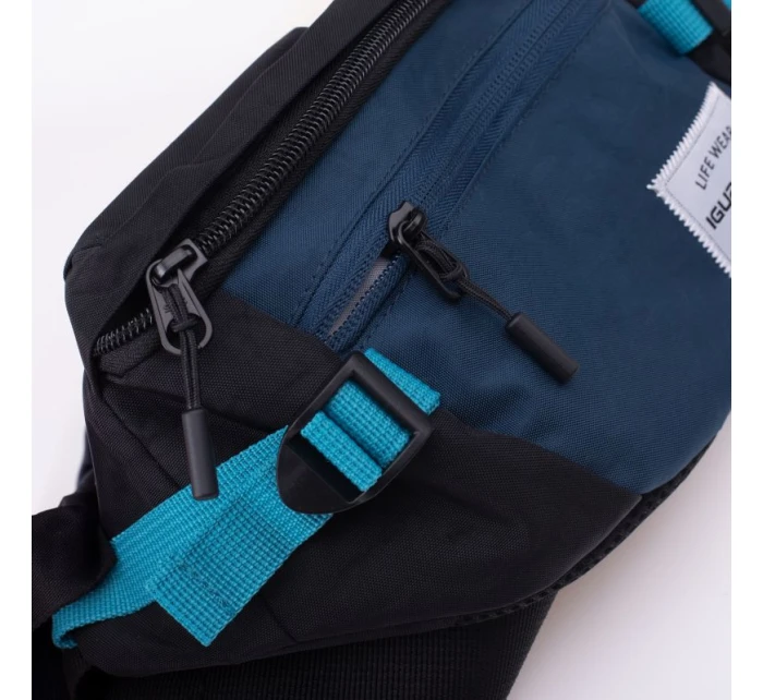 model 21356426 - Iguana