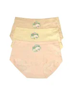 Dámské kalhotky model 20496729 A'12 SXL bavlna - DC Girl