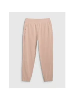 Pánské tepláky typu jogger model 21436775 - 4F