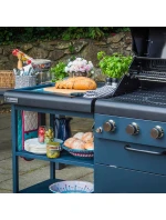 model 21810055 model 21810055