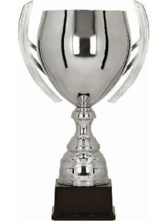 Stříbrný kovový pohár model 21827282