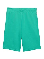 Dětské šortky Puma ESS Small No.1 Logo, zelené, 692974, velikost 40 Dětské šortky Puma ESS Small No.1 Logo, zelené, 692974, velikost 40