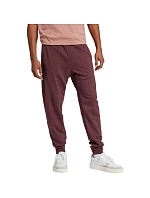 Kalhoty adidas Essentials Big Logo French Terry M JE8972