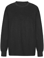 T Oversize bio IC tričko s dlouhým rukávem "Tiger" black model 22451985 - Neutral