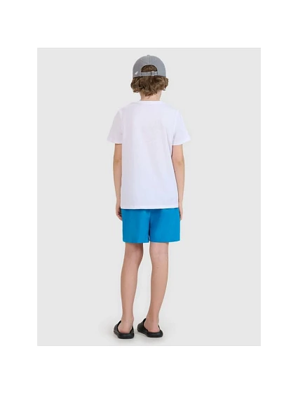 Chlapecké plážové šortky boardshorts model 21882711 - 4F Chlapecké plážové šortky boardshorts model 21882711 - 4F