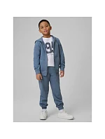 Chlapecké tepláky joggers model 22135757 dětské - 4F