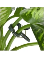 SPONKY NA ROSTLINY 20KS KINZO