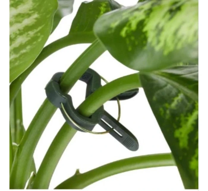 SPONKY NA ROSTLINY 20KS KINZO