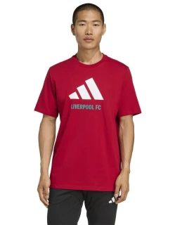 Liverpool FC tričko DNA Graphic Tee 2 model 21882547 - ADIDAS