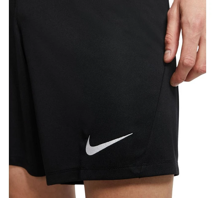 Pánská obuv Dry Park III NB M BV6855 010 - Nike