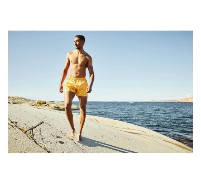 pánské plavky Trunk 328 model 21325246 - Helly Hansen