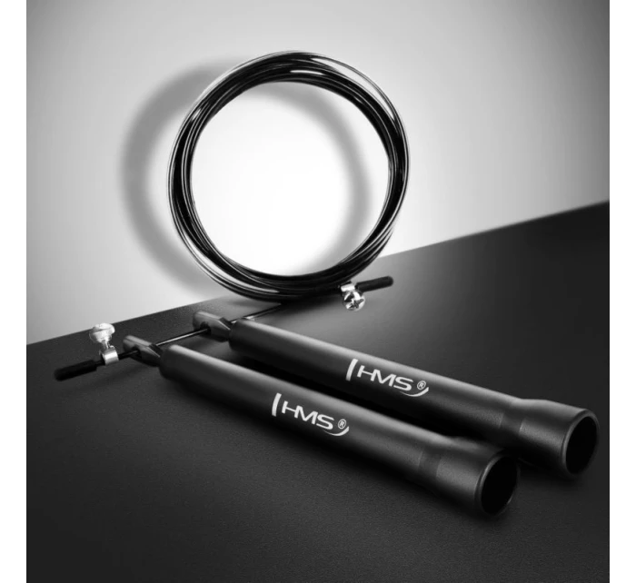 švihadlo model 21192229 - HMS