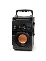 BLUETOOTH FM model 21861633