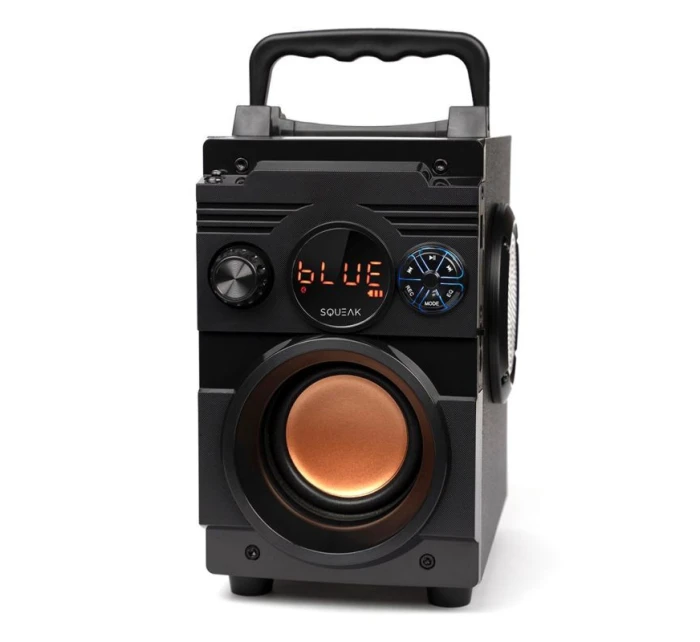 BLUETOOTH FM model 21861633