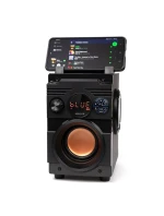 BLUETOOTH FM model 21861633