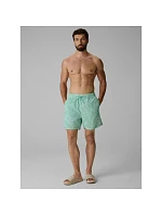 Pánské plážové šortky typu boardshorts model 22279616 - 4F