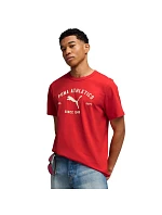 Pánské tričko Class Graphic Tee červené model 22068532 11 pánské - Puma Pánské tričko Class Graphic Tee červené model 22068532 11 pánské - Puma