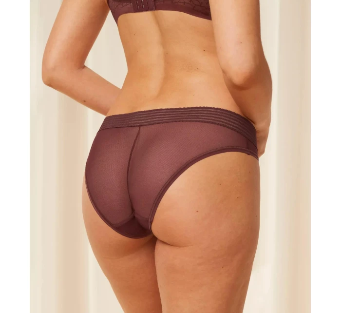 Tempting Sheer Highleg Tai 2P - BROWN - TRIUMPH BROWN - TRIUMPH