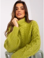 Sweter AT SW  oliwkowy model 20218519 - FPrice