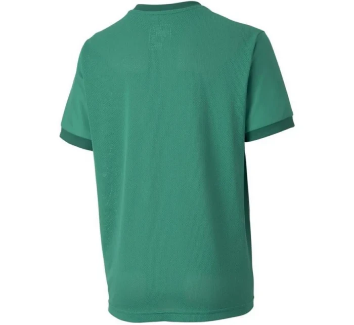Puma teamGOAL 23 Jersey Jr 704160 05 tričko