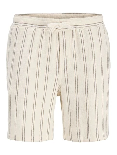 pánské pruhované šortky   SHORTS SN  White s model 22199559 - Jack&Jones
