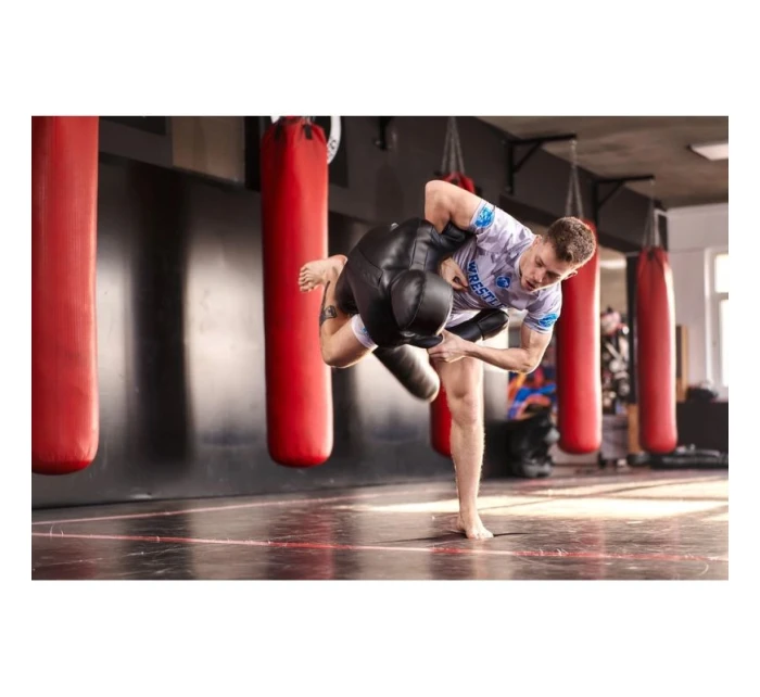 tréninková 165 cm 28 kg model 21438034 - DBX Bushido tréninková 165 cm 28 kg model 21438034 - DBX Bushido