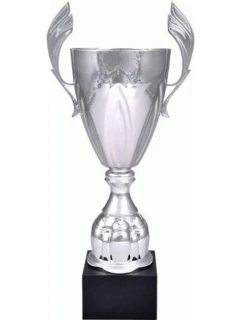 Stříbrný kovový pohár model 21827653