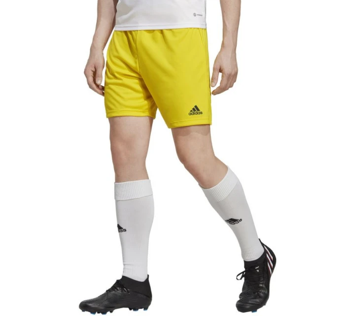 Pánské šortky Entrada 22 M IC7404 - Adidas