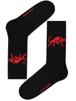 Pánské ponožky model 21320939 - John Frank Pánské ponožky model 21320939 - John Frank